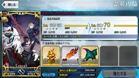 fgo reddit guide.